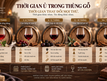 Ủ Rượu Trong Thùng Gỗ Sồi Càng Lâu Càng Ngon? Sự Thật Bạn Nên Biết