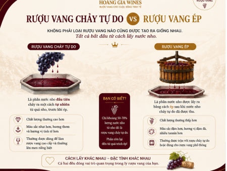 Rượu Vang Chảy Tự Do Và Rượu Vang Ép Khác Nhau Thế Nào?