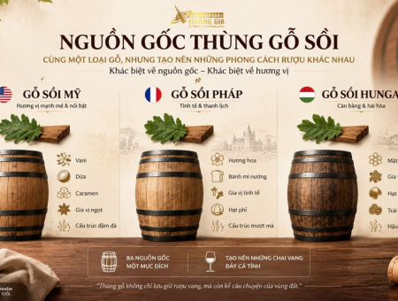 Gỗ Sồi Mỹ, Pháp Và Hungary Khác Nhau Thế Nào? Ảnh Hưởng Đến Hương Vị Rượu Vang