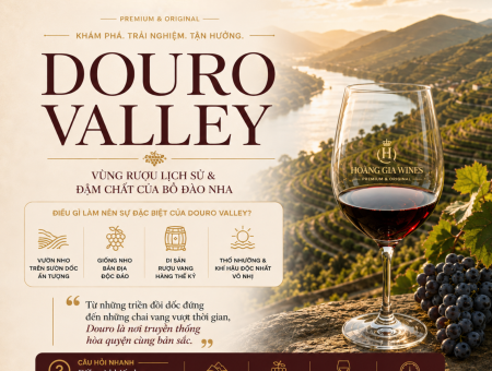 Vang Port Là Gì? Khám Phá Thung Lũng Douro – Cái Nôi Của Port Bồ Đào Nha
