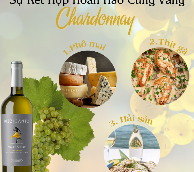 Món ăn kết hợp hoàn hảo cùng vang từ nho Chardonnay?