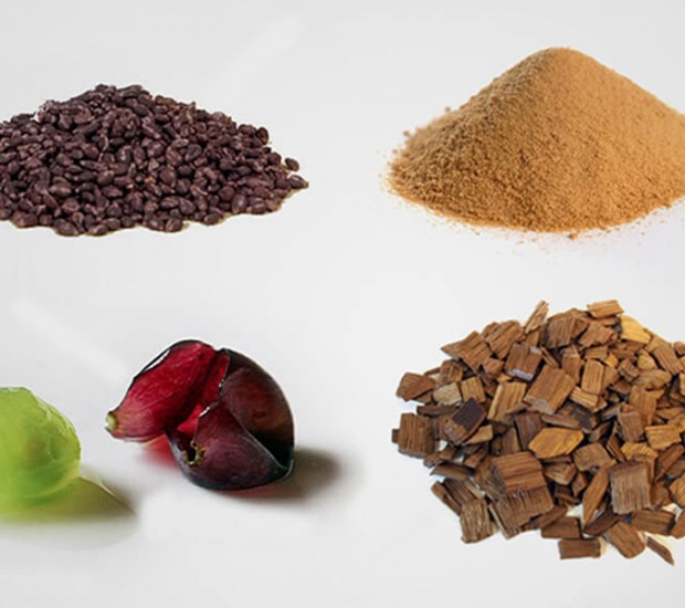 Tannin Trong Rượu Vang