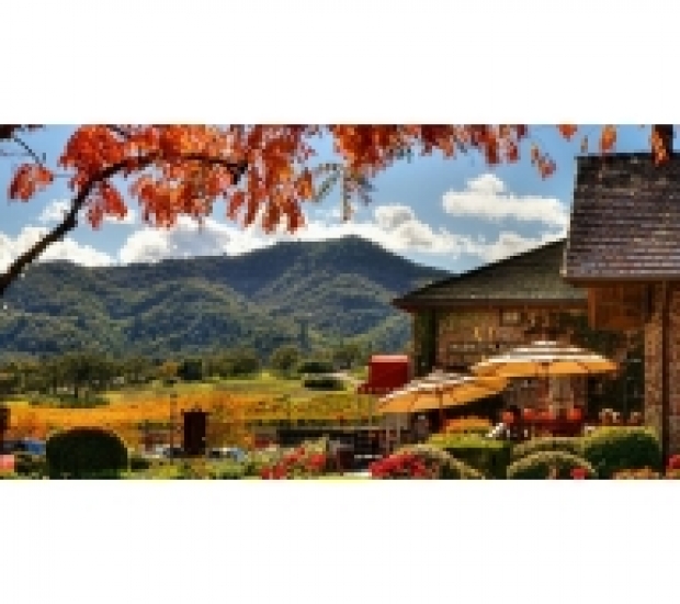 Thăm thú 4 vùng trồng nho, làm rượu vang lừng danh thế giới