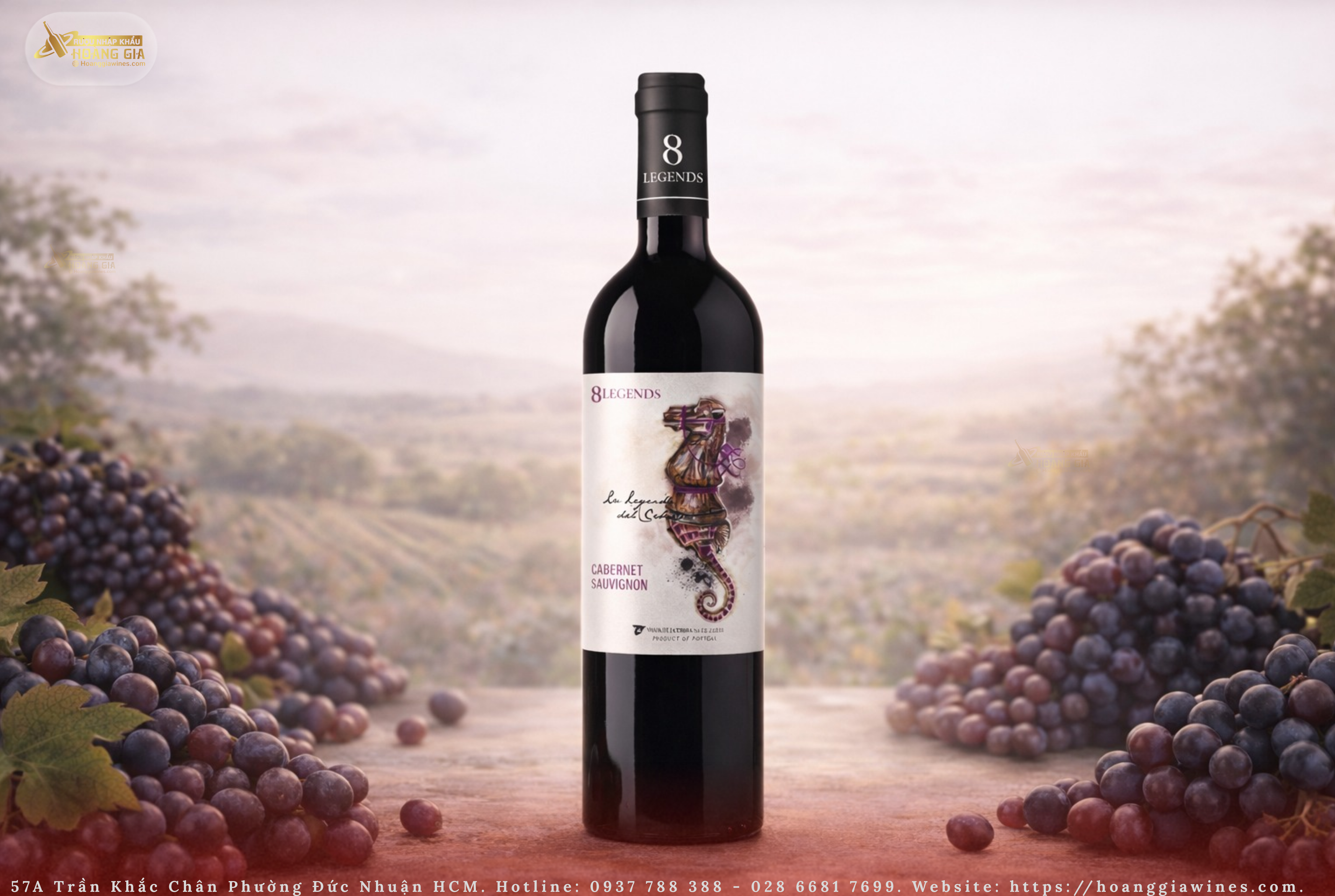 CÔNG TY TNHH PHÁT TRIỂN TMDV VÀ XNK HOÀNG GIA