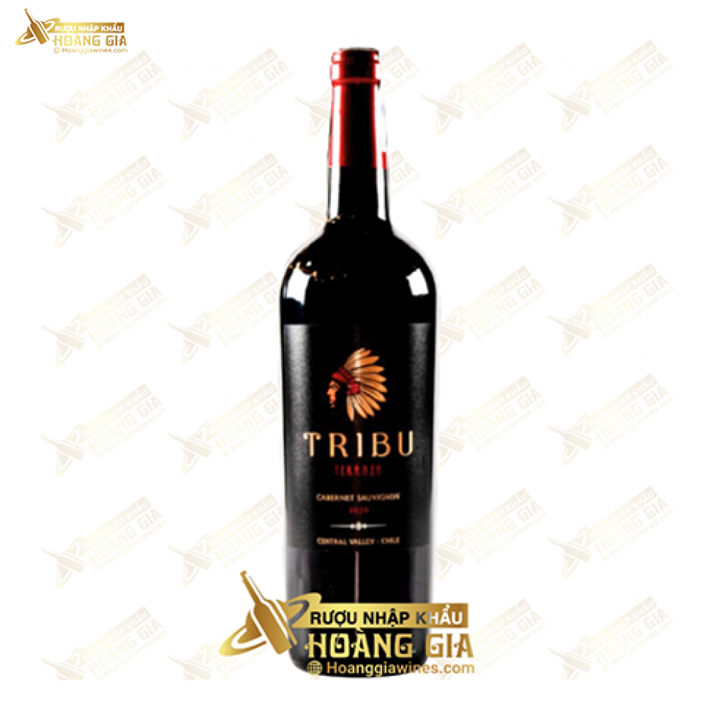Vang Đỏ Chile Tribu Terraza Nho Cabernet Sauvignon