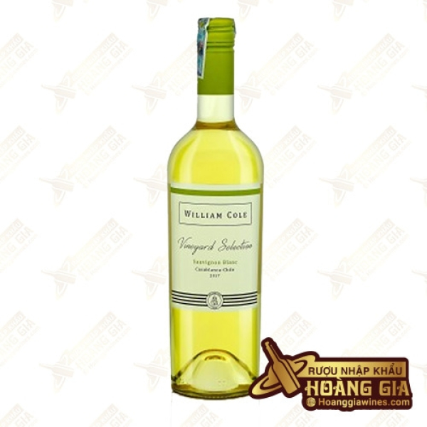 Vang Trắng Chile William Cole Nho Sauvignon Blanc