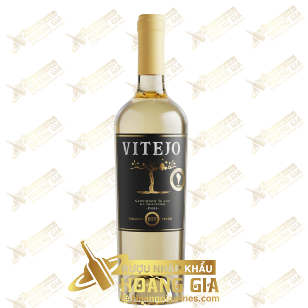 Vang Trắng Chile Vitejo Sauvignon Blanc Superior